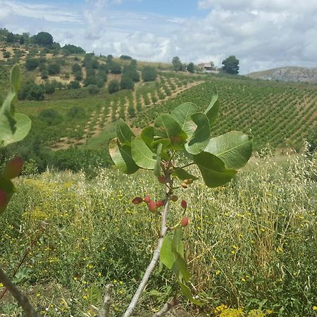 Agriturismo Gessi Βίλα Calatafimi Εξωτερικό φωτογραφία